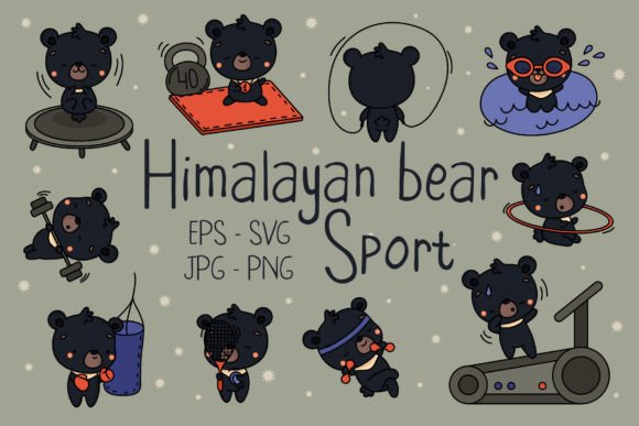 Download Himalayan Bear Sportsman Collection - Sportsman Collection