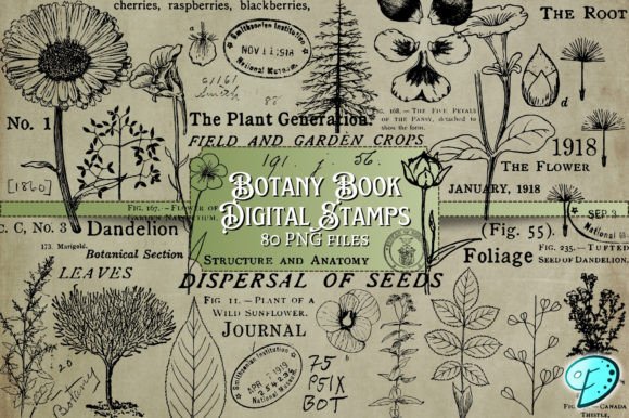 Download Botany Book Digi Stamps Transparent PNGs - Stamp Collection